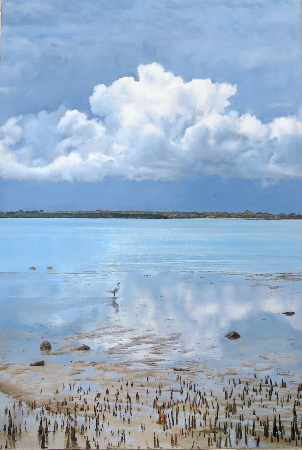 clouds over darwin