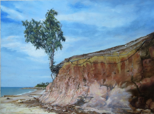 Nightcliff tree